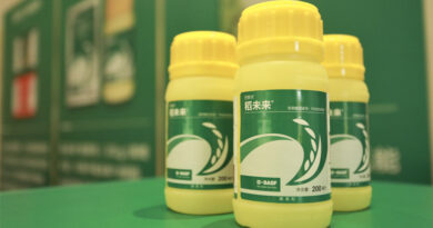 BASF officially launches Provisia® Herbicide-Tolerant Rice System in China