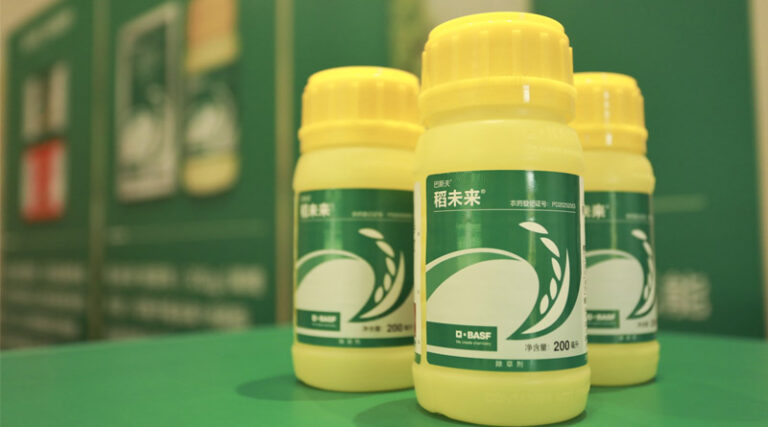 BASF officially launches Provisia® Herbicide-Tolerant Rice System in China