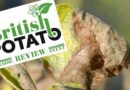British Potato Insight Into Managing Blight Resistance