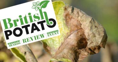British Potato Insight Into Managing Blight Resistance