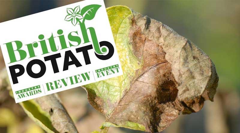 British Potato Insight Into Managing Blight Resistance