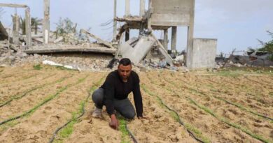 UN Agencies Welcome News That Famine Has Been Pushed Back In The Gaza Strip, But Warn Fragile Gains Could Be Reversed Without Increased And Sustained Support UN Agencies Welcome News That Famine Has Been Pushed Back In The Gaza Strip, But Warn Fragile Gains Could Be Reversed Without Increased And Sustained Support