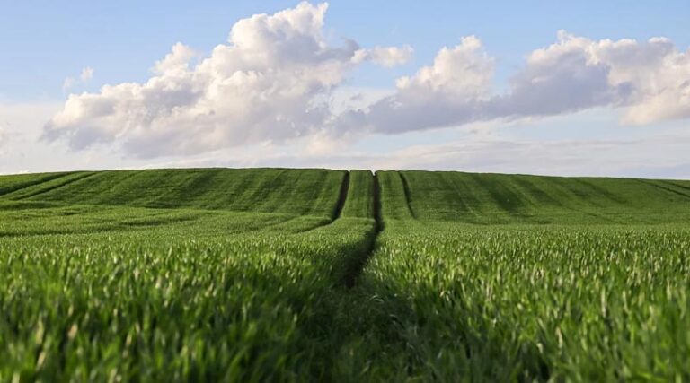 Government Monitors Agricultural Imports and Exports to Protect Farmers’ Interests