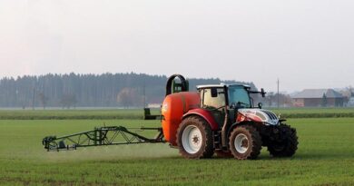 Bayer Gains Momentum After US Signals Support in Glyphosate Lawsuit