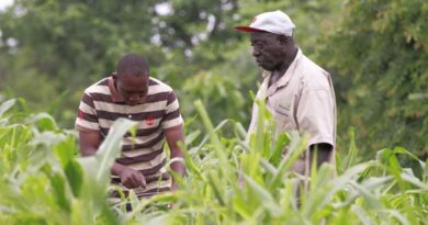 CABI Academy Plant Health Management Courses Are Helping To Improve Extension Support