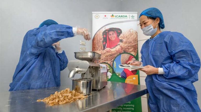 Empowering Rural Communities in Egypt Through Post-Harvest Innovations