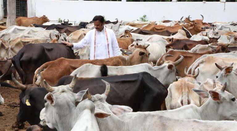 The Agricultural Model of a Developed India: Cow-Based Natural Farming and a Healthy Way of Life