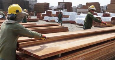 Global Forest Products Trade And Production Show Signs Of Recovery In 2024