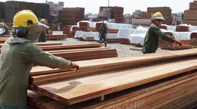 Global Forest Products Trade And Production Show Signs Of Recovery In 2024