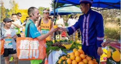Xinhua Silk Road: Small Navel Oranges Become Big Lever To Boost Ethnic County Economy In Guangxi