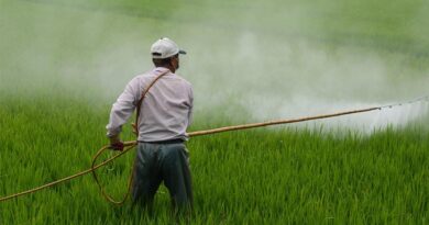 China Updates Pesticide Labeling Rules: Key Changes under MARA Announcement No. 925 China Updates Pesticide Labeling Rules: Key Changes under MARA Announcement No. 925