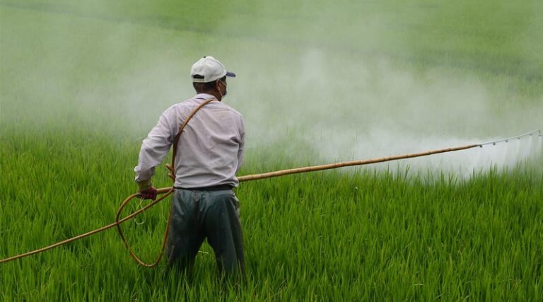 China Updates Pesticide Labeling Rules: Key Changes under MARA Announcement No. 925