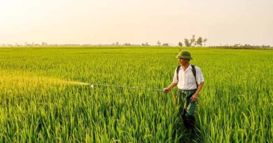 Canada’s Continuous Oversight Policy: What Pesticide Companies Need to Know