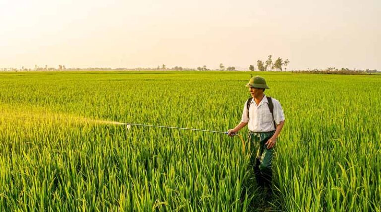 Canada’s Continuous Oversight Policy: What Pesticide Companies Need to Know