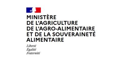 The Centre for Studies and Strategic Foresight (CEP): the internal think-tank of the French Ministry of Agriculture