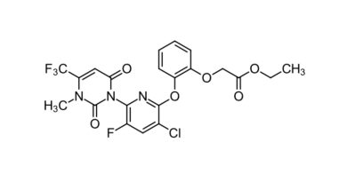 ISO Approves New Herbicide Name ‘Fendioxypyracil’ for BASF SE
