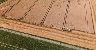 Australia Set for a Record Crop But Global Prices Are Set to Steal the Bounty Australia Set for a Record Crop But Global Prices Are Set to Steal the Bounty