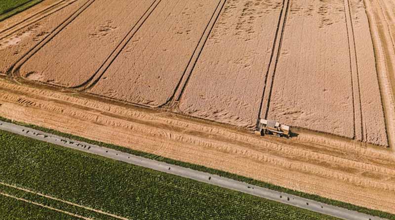 Australia Set for a Record Crop But Global Prices Are Set to Steal the Bounty