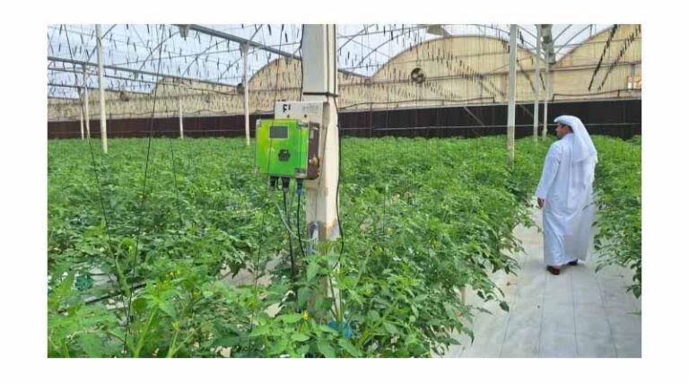 Food Security: Ambitions, Paradoxes And Strategies Of The Gulf Countries