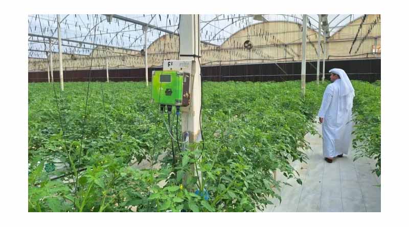 Food Security: Ambitions, Paradoxes And Strategies Of The Gulf Countries