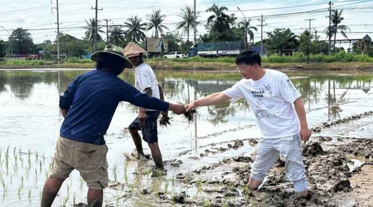 CCTV+: China-Lao Agricultural Science Cooperation Delivers New Results in 2025