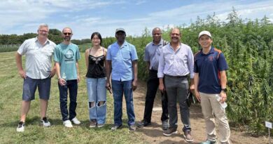First U.S. Hemp-Biosolids Trial Tests Breakthrough Sustainable Fertilizer