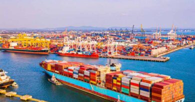 EU Intends To Strengthen Import Controls, New Task Force For Efficient Import Controls EU Intends To Strengthen Import Controls, New Task Force For Efficient Import Controls