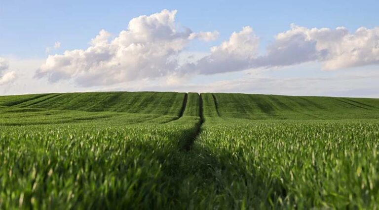 International Seminar on Agreement on Port State Measures Convenes