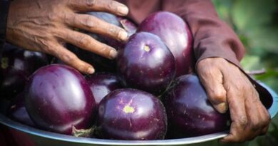 Facing Our Fears And Finding Hope: How We Are Reframing Biotechnology In Bangladesh