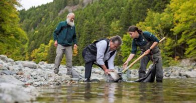 Indigenous And Local Action Brings Back Nature: UN recognizes three World Restoration Flagships