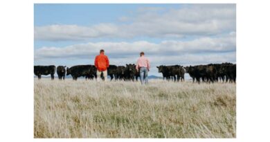 Turning A Late Spring Into Opportunity