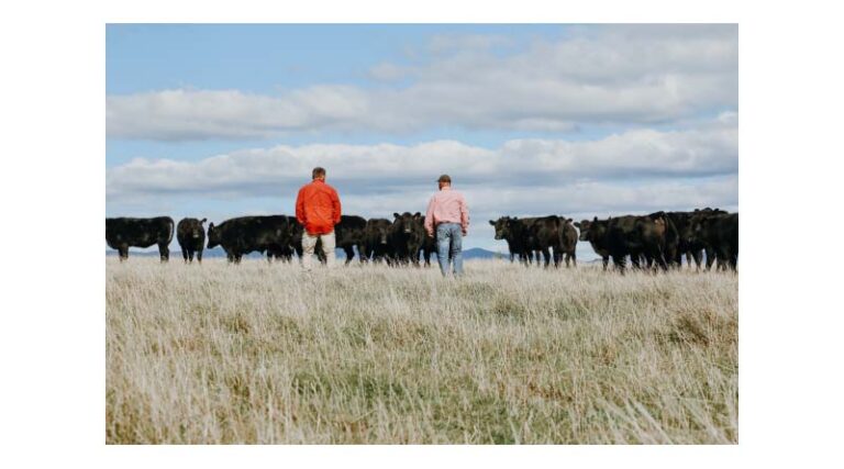 Turning A Late Spring Into Opportunity