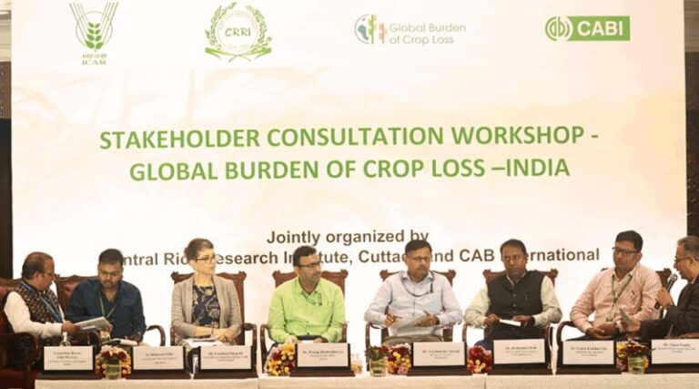 Partnering To Improve Crop Loss Data For Odisha’s Rice Farmers