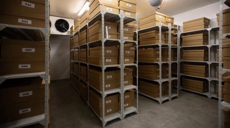 El País: The Secret Journey of One of Ukraine’s Treasures: Its Seed Bank