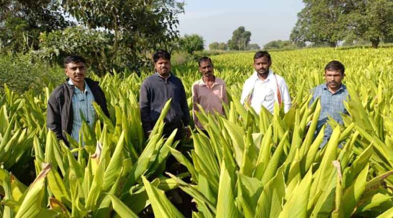 India: Heavy Rains Hit Farmers Hard This Year; New Report Warns of Impact on Rabi