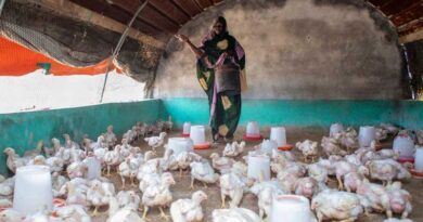 FAO Food Price Index Declines in November for Third Consecutive Month FAO Food Price Index Declines in November for Third Consecutive Month