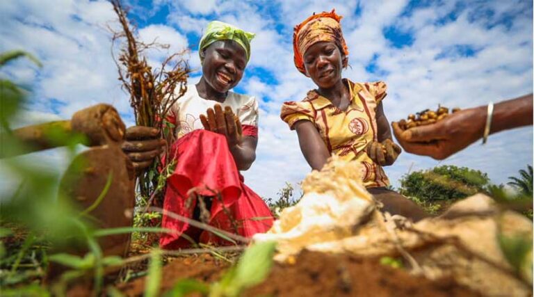 UN World Soil Day 2025: Healthy Soils for Healthy Cities