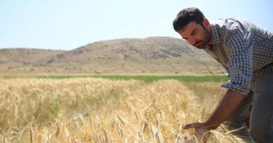 A BOLD Attempt to Adapt Barley to the Most Remote Regions of Tunisia