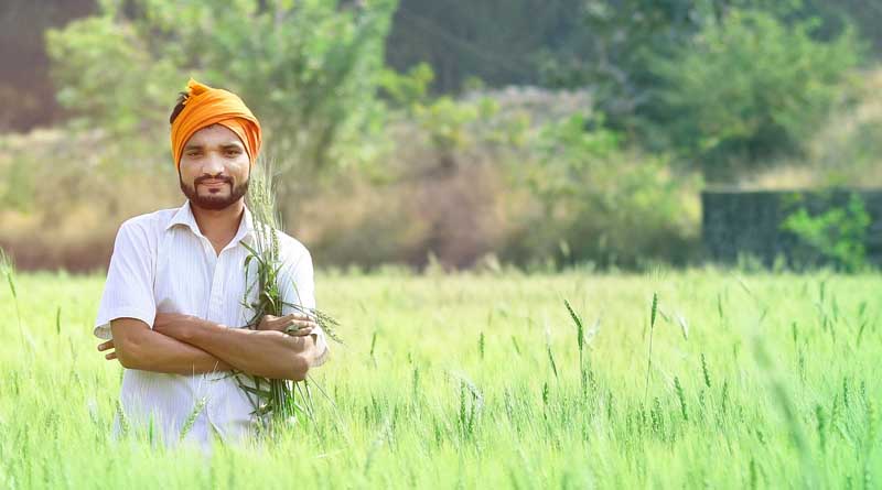 Digital Literacy Among Farmers