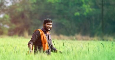 Overall Development of Agricultural Sector
