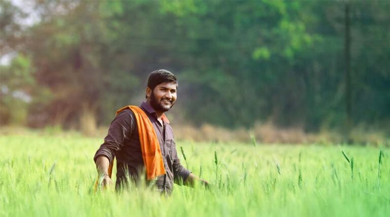 Overall Development of Agricultural Sector