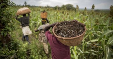 Better Land, Soil And Water Management Key To Feeding 10 Billion People, FAO warns