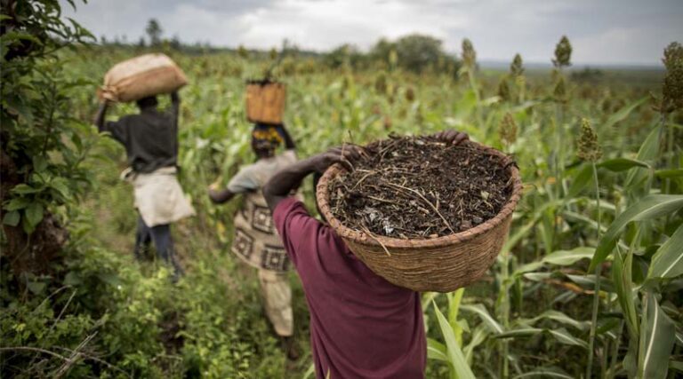 Better Land, Soil And Water Management Key To Feeding 10 Billion People, FAO warns