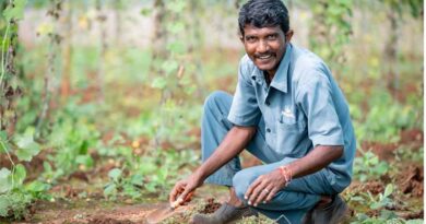 Satellite-Based Crop Monitoring and Data Integration