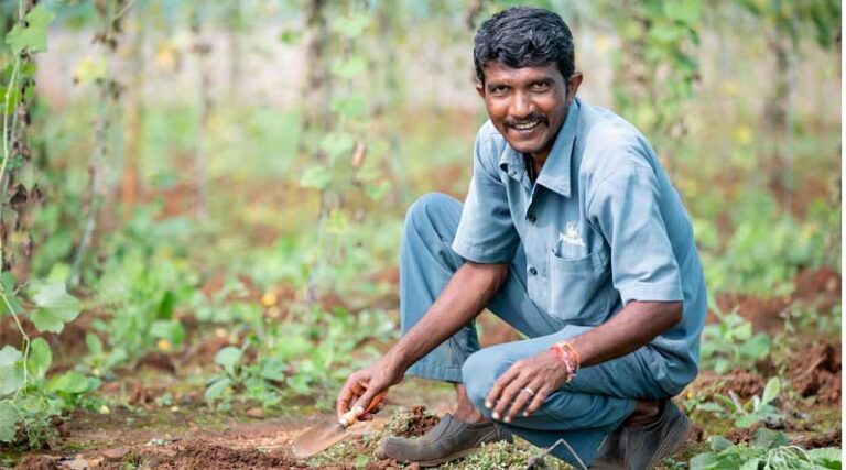 Satellite-Based Crop Monitoring and Data Integration