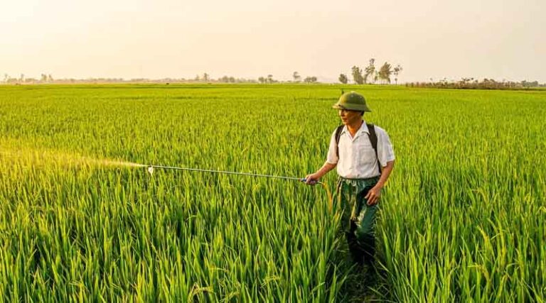 Growth of Agri-Tech Startups and Digital Agriculture Mission