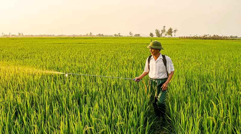 Growth of Agri-Tech Startups and Digital Agriculture Mission