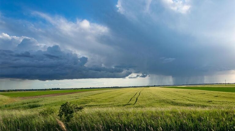 Integration of FPOs with National Agricultural Value Chains