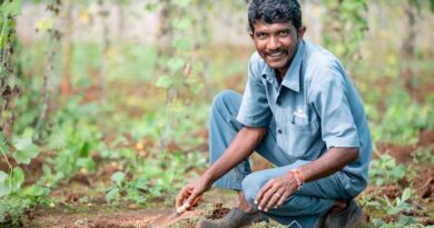 Promotion of Natural Farming Practices