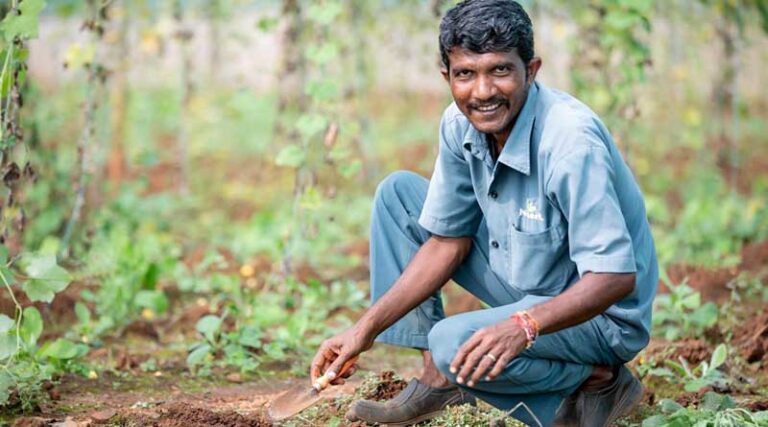 Promotion of Natural Farming Practices